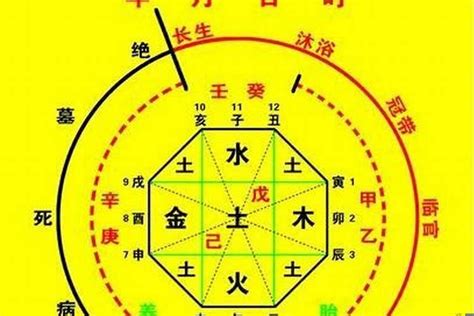 出生年 五行|生辰八字算命、五行喜用神查询（免费测算）